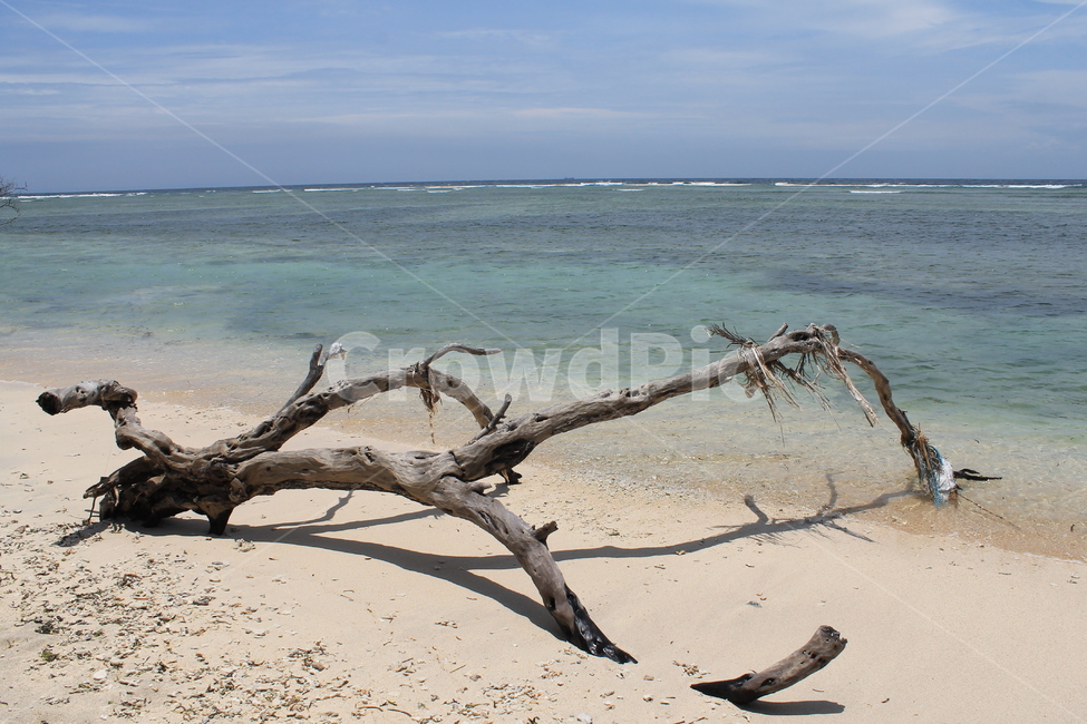 인도네시아,길리,해변,나무해변,나무,indonesia,gili,beach,treeandbeach,treeonthebeach,vacation,고즈넉
