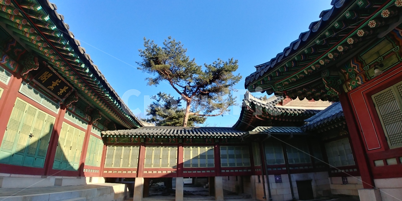 창덕궁,문화재,전통건축,고궁,기와,한국,조선,보물,문화유산,궁,왕,궁궐,한국전통,한국문화,korean traditional,korean culture,랜드마크,landmark,tourist attraction,한국랜드마크,한국관광지,한국명소,korea landmark,korea tourist attraction,건축물,건물외관,exterior,building,structure,architecture,construction