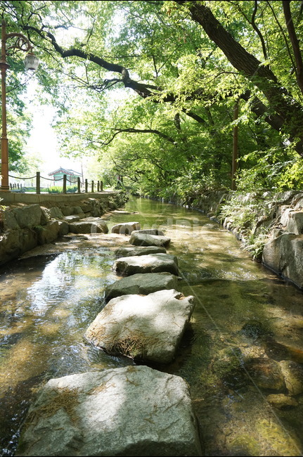 봄,상림공원,나무,초록,하늘,시원시원,상쾌,산책,봄,계절,spring,season,자연,풍경,nature,landscape,water,물,outdoors,옥외,stream,흐름,creek,작은 만