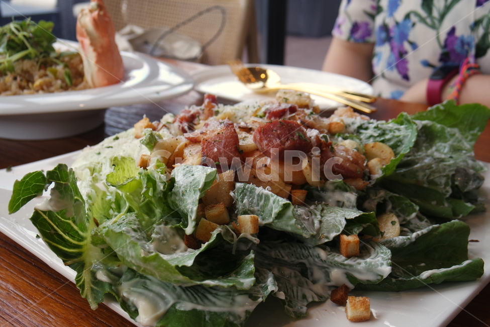 맛집,샐러드,녹색채소,베이컨,음식