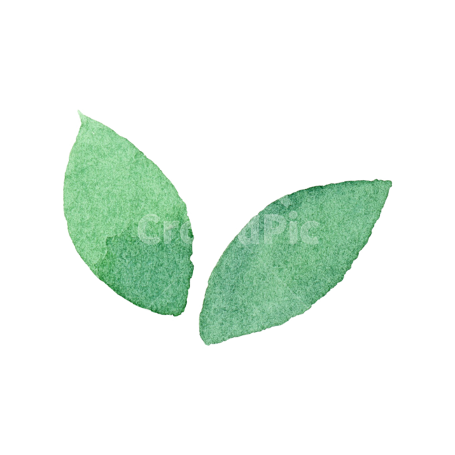 잎,초록,나뭇잎,수채화,식물,자연,손그림,일러스트,귀여운,아이콘,leaf,green,illustration,icon,watercolor,plant,봄,여름,가을,식물,자연,plants,nature,누끼,remove background