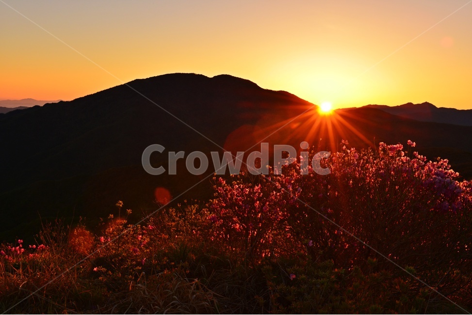 지리산,노고단,노고단일출,아침,여명,일출,해돋이,운해,노고단봄,mountainrange,산맥,mountain,산,nature,자연,outdoors,옥외,노고단철쭉,철쭉꽃,철쭉,자연,풍경,nature,landscape