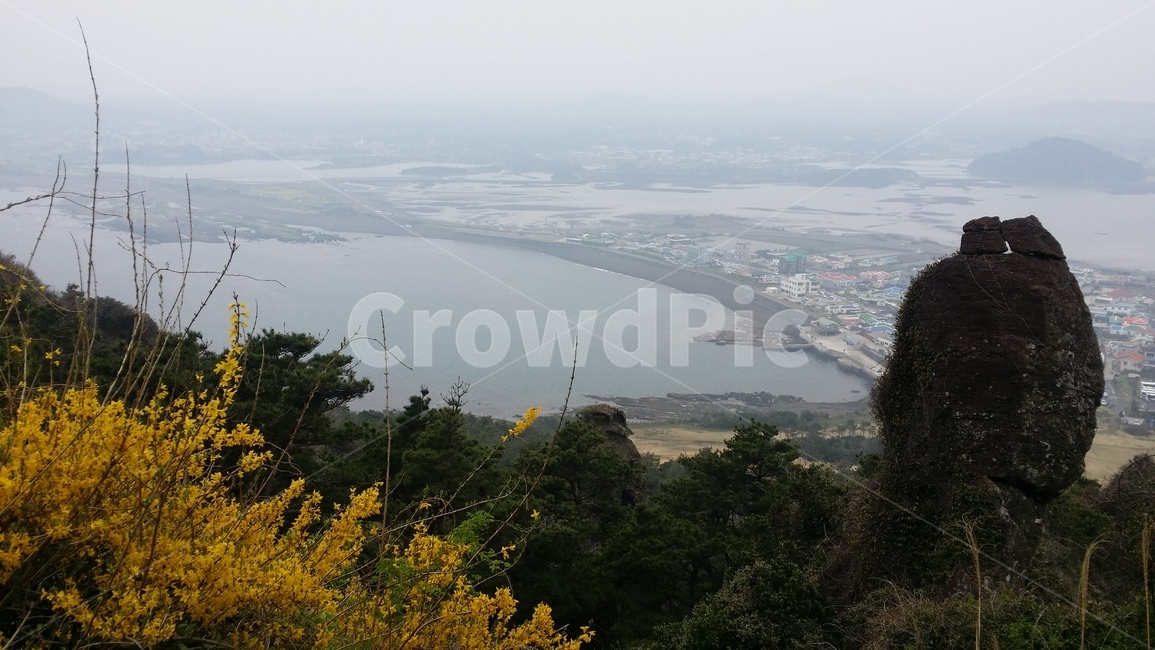 풍경,오름,landscape,전경,꽃,자연,풍경,nature,landscape,outdoors,옥외,scenery,경치,plant,식물,tree,나무