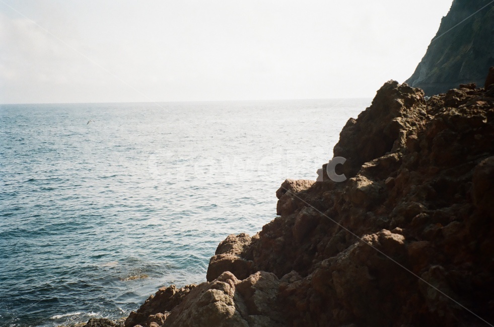 자연,바다,울릉도,돌,필름사진,자연,풍경,nature,landscape,promontory,곶,cliff,낭떠러지,outdoors,옥외