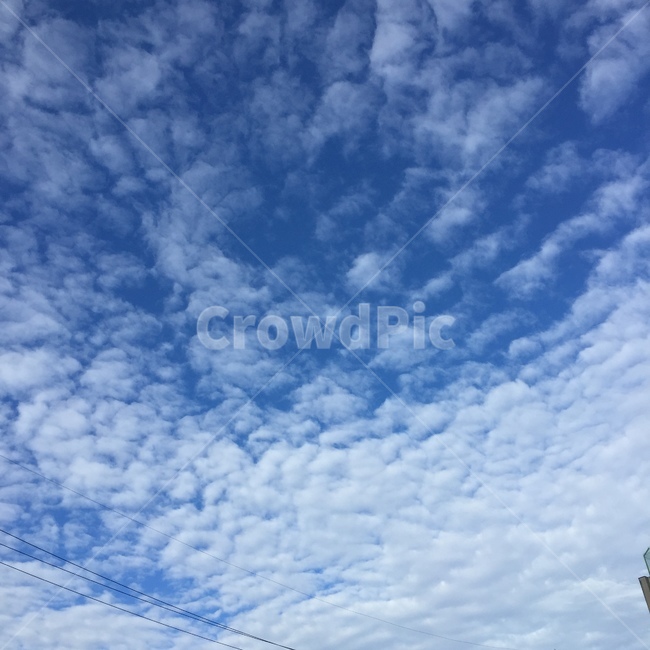 하늘,계절,구름,풍경,파랑,일상,daily,시원함,힐링,자연,풍경,nature,landscape,outdoors,옥외,sky,azure sky,푸른 하늘,cloud