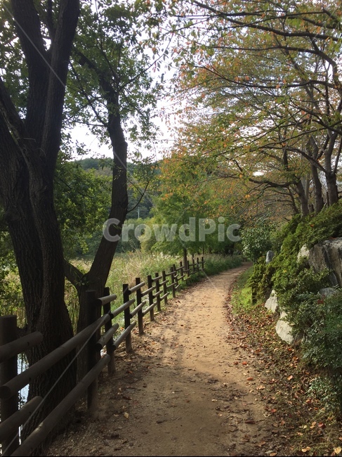 자연,풍경,길,나무,nature,자연,풍경,nature,landscape