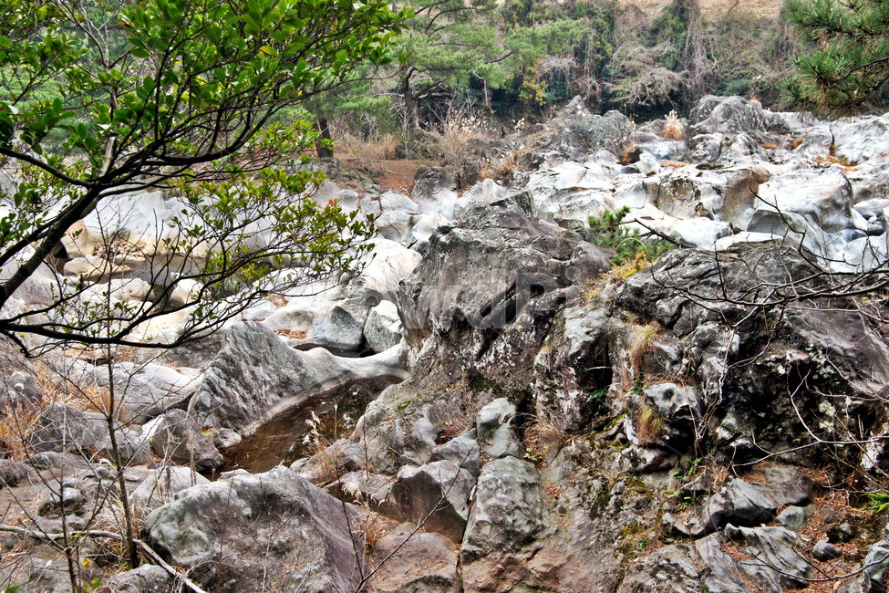 곱은내,제주,한천,계곡,기암괴석,트레일,오라올레,소,자연,풍경,nature,landscape,rubble,파편,ground,바닥