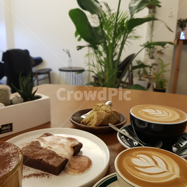 카페,여유,감성,커피,색감,식물,cafe,rest,mood,coffee,color,plants,light,빛,커피,카페,coffee,cafe