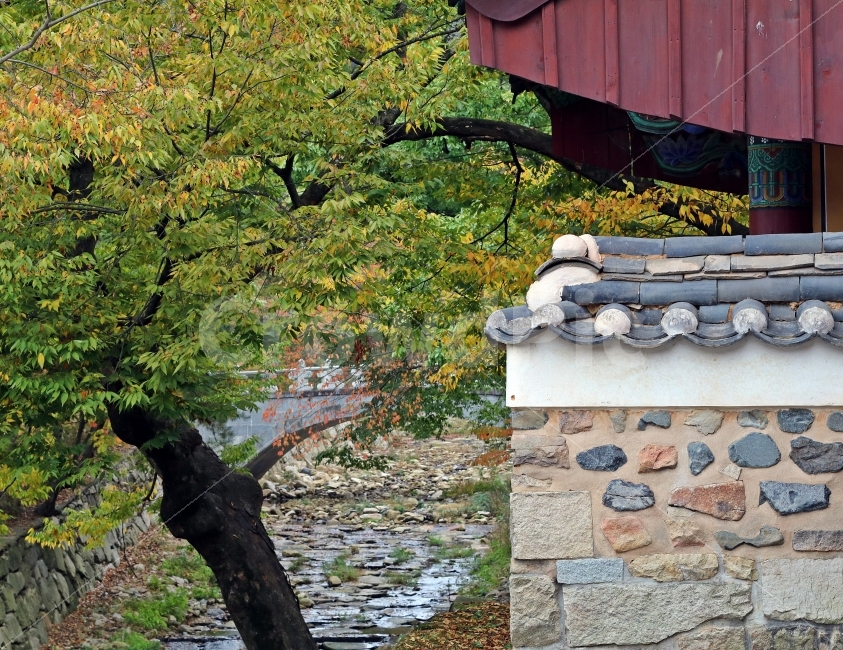 정원,나무,가을,낙엽,단풍,풍경,자연,한국전통,한국문화,korean traditional,korean culture,식물,자연,plants,nature,나무,trees,wood,건축물,건물외관,exterior,building,structure,architecture,construction