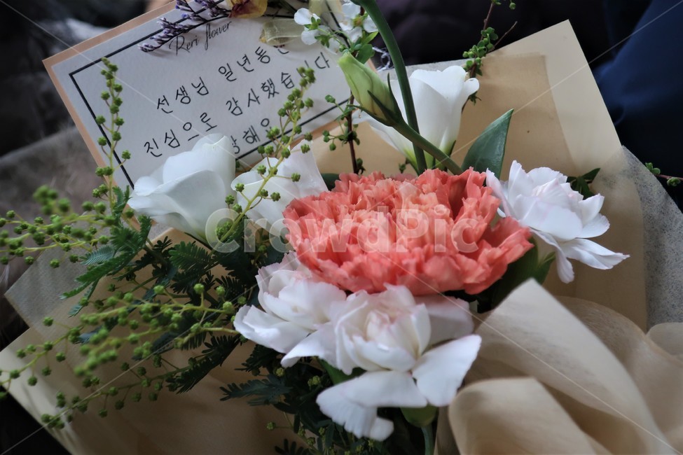 스승의날,꽃다발,기념일,카네이션,은혜,감사,선생님,학교,축하,선물,기념일,축하,anniversary,congratulation,celebrate,celebration,교육,학교,공부,education,learning,study,school