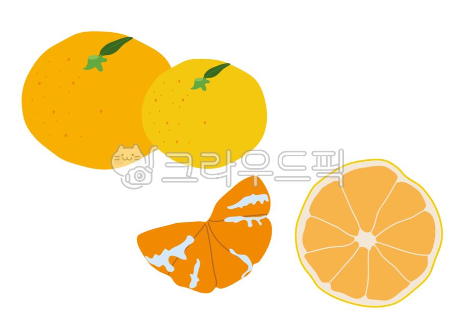귤, fruit, 과일, orange, 주황색, 사진,이미지,일러스트,캘리그라피 - ziziyam작가