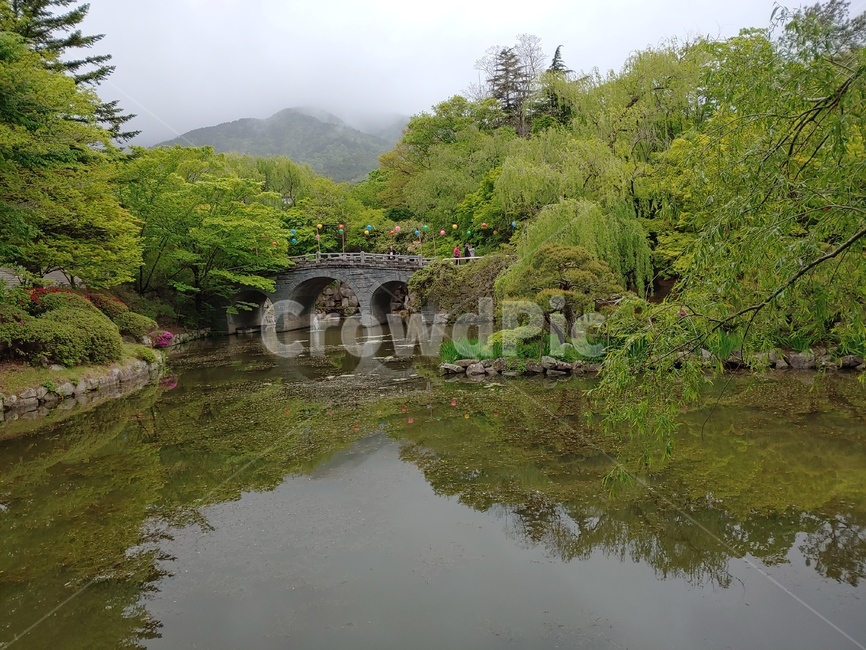 불국사,자연,사찰,절,불교,정경