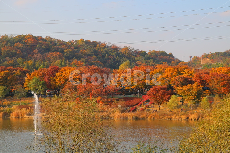 가을,단풍,단풍나무,공원,호수,하늘,자연,분수,가을,계절,fall,autumn,season,자연,풍경,nature,landscape,plant,식물,tree,나무