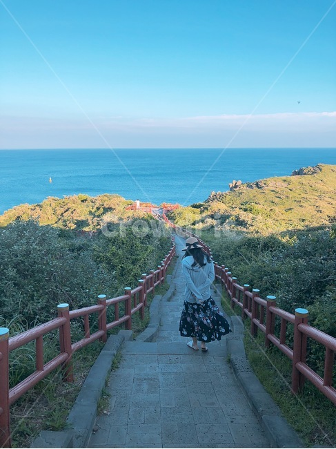 제주도,여행,산책,여유,여자,뒷모습,감성사진,색감,용머리해안,고요,하늘,바다,나무,자연,사람,인물,인간,human,person,여성,여자,woman,female,lady