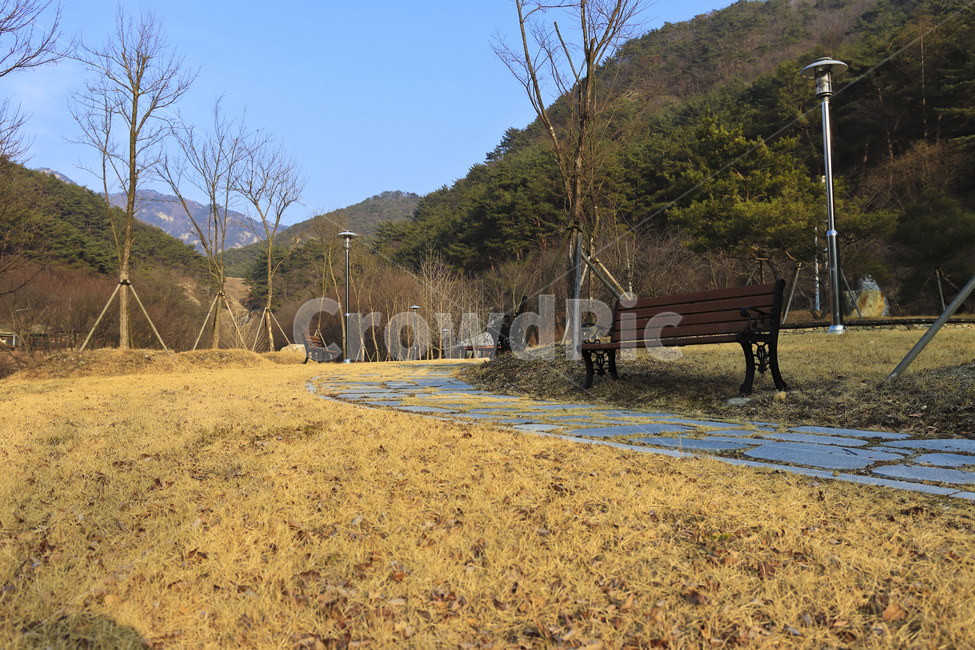 벤치,휴식,산책길,산책,자연,풍경,들,식물,나무