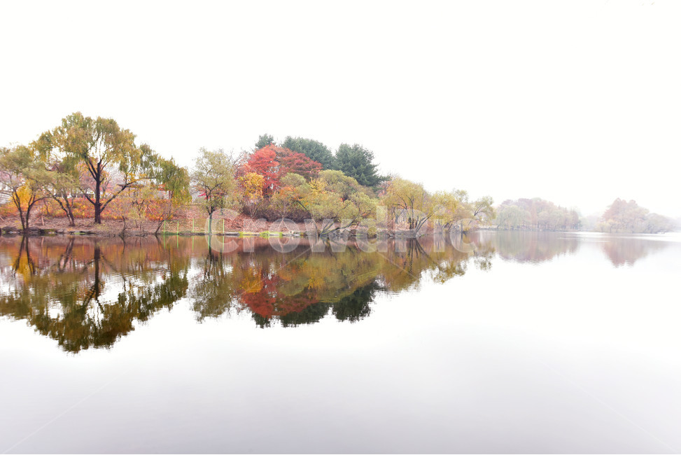 가을,호수,가을풍경,단풍,반영,nature,자연
