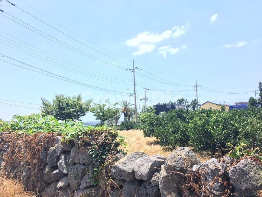 돌담,제주,제주도,jeju,stone,sky,하늘,제주도,jeju,jeju island,rubble,파편