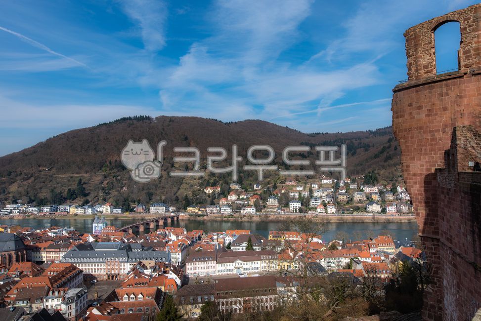 naturallandscape,germany,house,building,medievalcity,houses,cityscape,europe,educationcity,architecture,education city,roof,nature,medieval city,heidelberg,natural scenery,outdoors,river