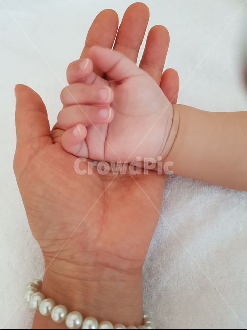 손,아가손,애기,고사리손,손가락,사랑,가족,빨찌,사람손,손톱,세월,주름,행복