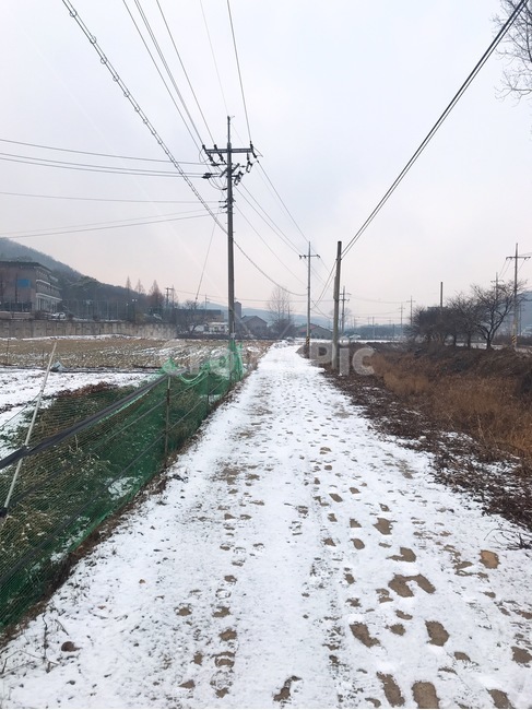 겨울,눈,발자국,눈발자국,길,풍경