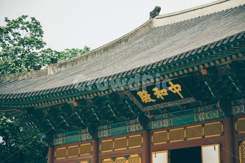 덕수궁,중화전,한국,서울,전통,처마,기와,한옥,한국전통,문화,건축,건축물,고궁,궁궐,koreantraditional,koreanculture,architecture,한국전통,한국문화,korean traditional,korean culture,랜드마크,landmark,tourist attraction,한국랜드마크,한국관광지,한국명소,korea landmark,korea tourist attraction,건축물,건물외관,exterior,building,structure,architecture,construction