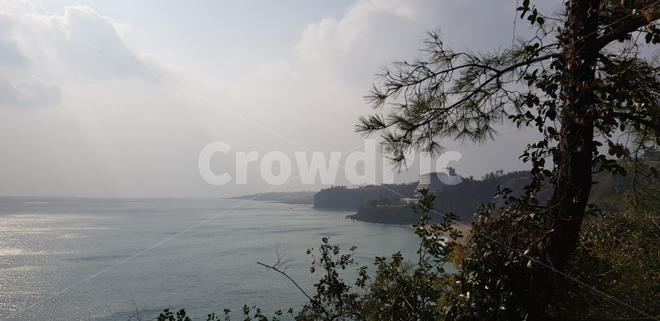 nature,자연,옥외,바닷가,제주도
