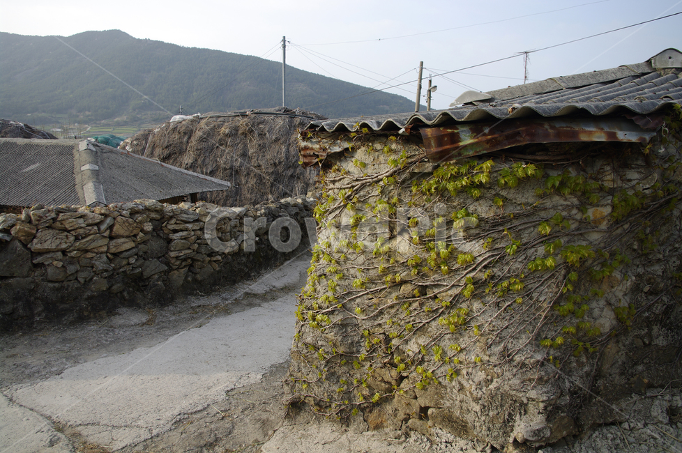 청산도,돌담길,돌담,집,길,시골,마을,풍경,landscape,country,rural,town
