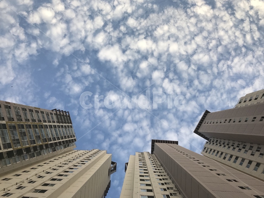 아파트,하늘,올려다본,올려본,위로,건축물,건물외관,exterior,building,structure,architecture,construction
