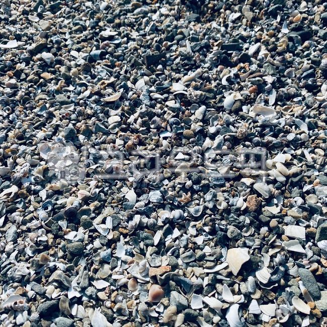 자갈,돌맹이,돌,모래,조개껍질,소라,거친,둥근,파편,배경화면