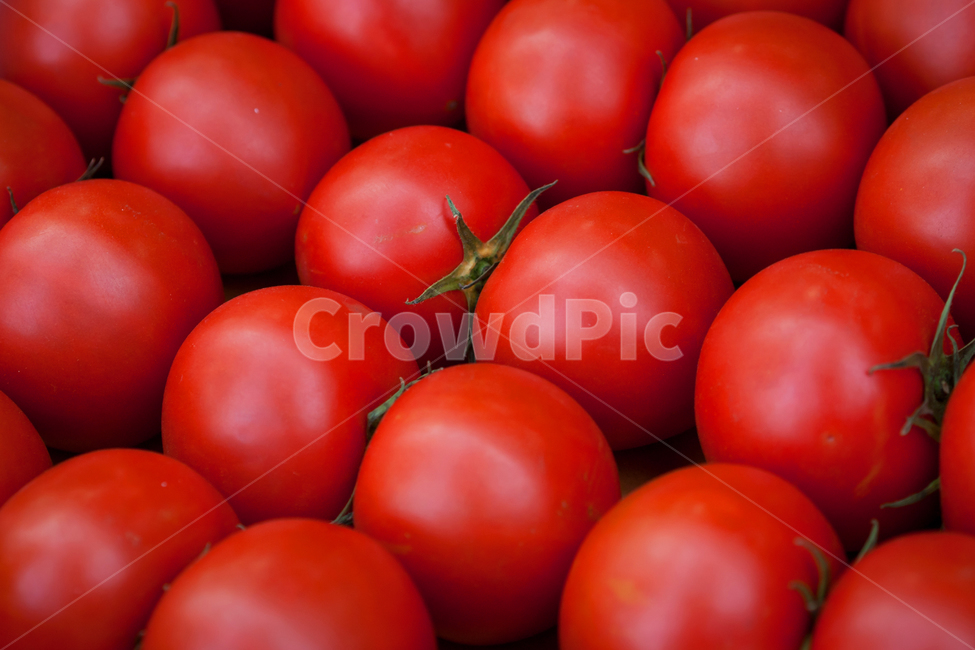 plant,식물,야채,채소,토마토,시장,market,tomato