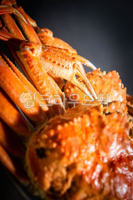 러시아대게,대게,홍게,대게찜,대게장,대게살,대게요리,해산물,음식,식재료,요리,food,cook,meal,dishes,food reserves