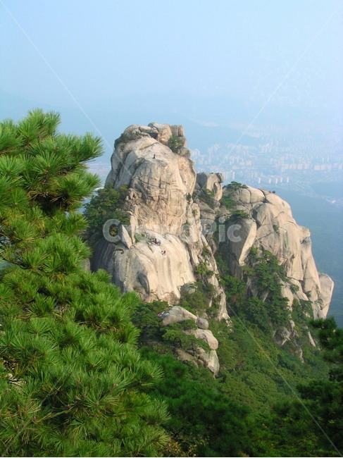 도봉산,암벽,암벽등반,푸르름,절벽,암석,바위,등산,소나무,정상,자연,등반