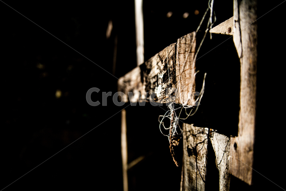 wood,나무,감성,거미줄,빛,빈티지사진,빈티지느낌,빈티지감성,vintage