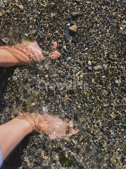 바다,자갈,발,물,여름,강,연못