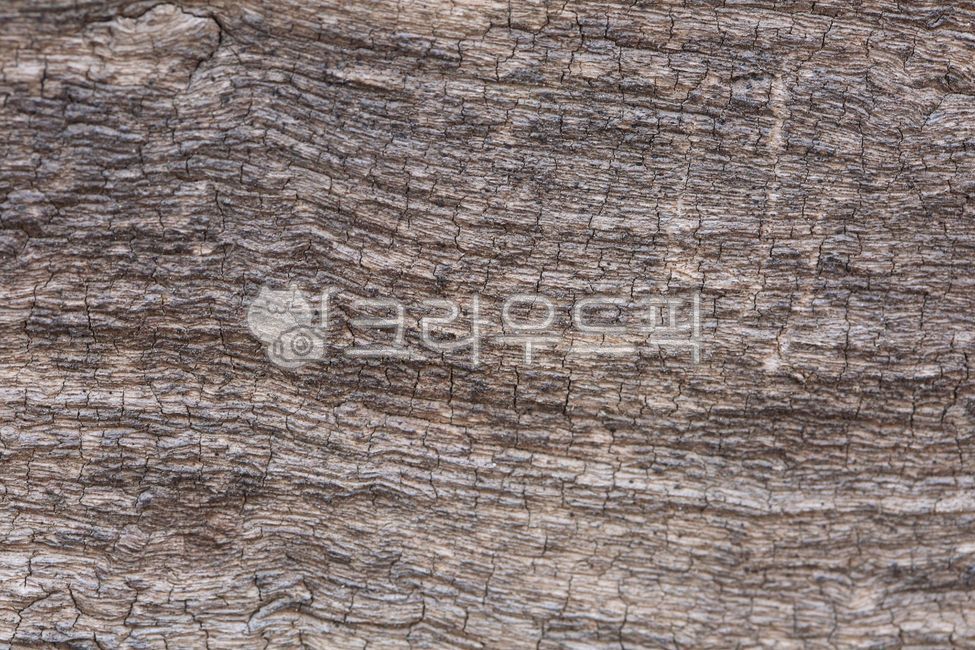 color,pattern,wood grain,tree background,wood,Simple background,group,ingredient,surface,nature,texture,tree,Material,emptied,abstract,wooden surface,background,vintage,Wallpapers,color background
