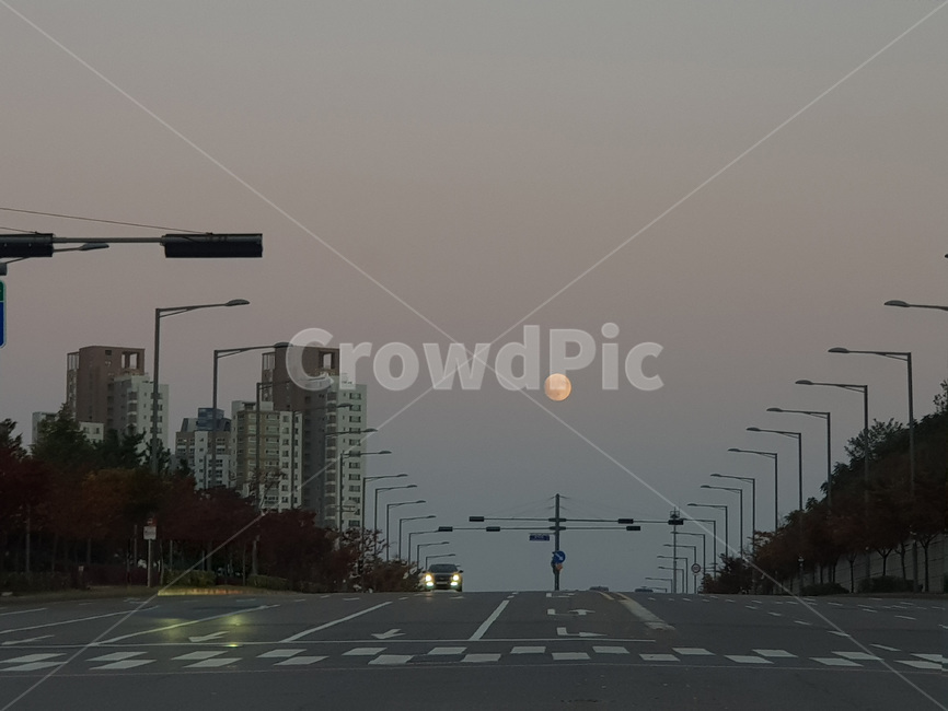 도로,사거리,초저녁,달,보름달,도시,회색,도시,풍경,city,landscape,한국도시풍경,한국도시경관,korea cityscape,road,nature,자연,freeway,고속 도로