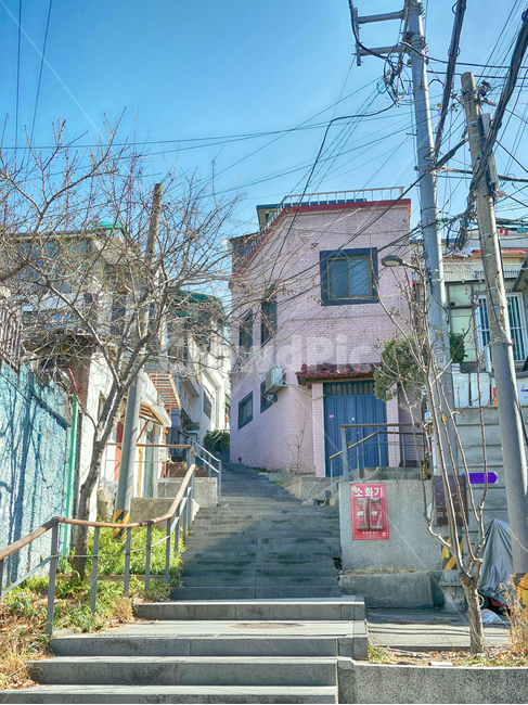 이화벽화마을,골목,풍경,한국풍경,전봇대,전신주,나무,계단,소화전,건물,난간,한적함,전선