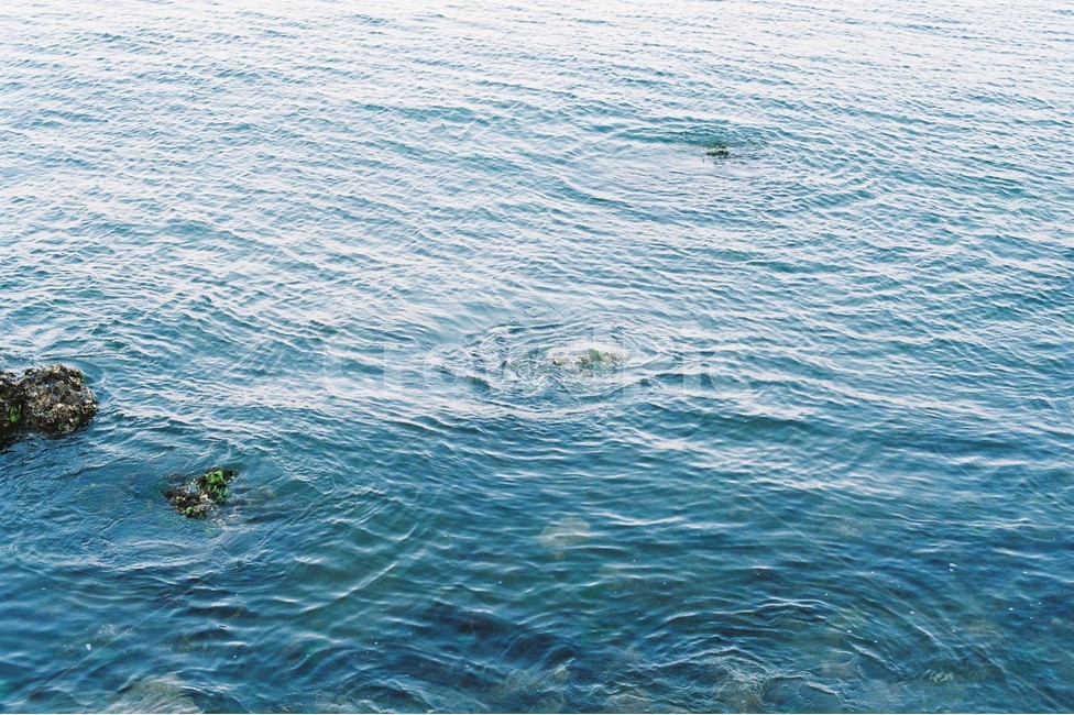 바다,해변,물결,여름,고요,sea,beach