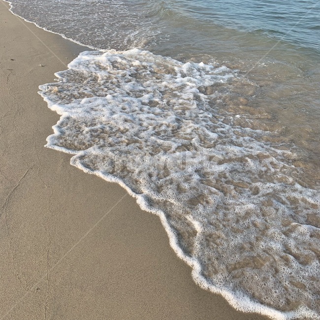 sea,바다,여름바다,자연,ocean,shoreline,해안선,water,파도,모래,감성,양양바다,nature,한국바다,모래사장,sand,해변,beach