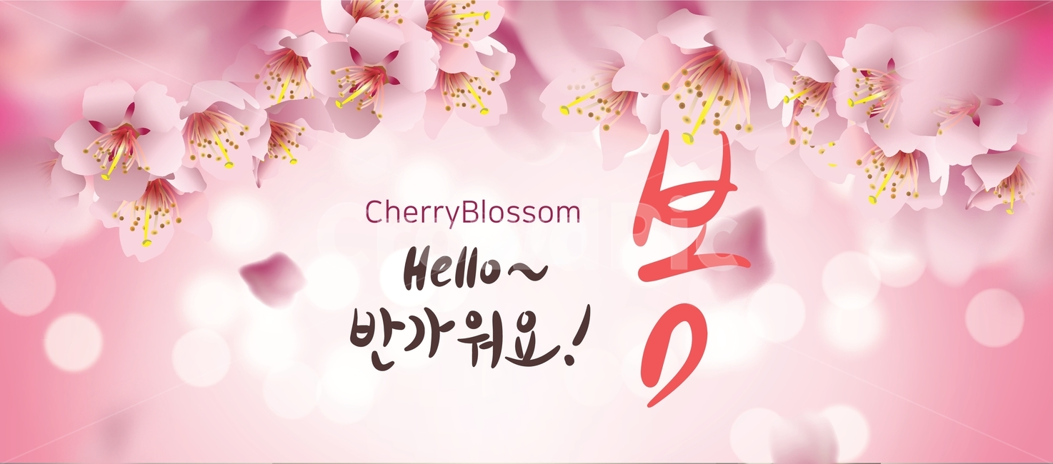 배경,봄꽃,꽃,자연,핑크,봄,벚꽃,쇼핑,아름다운,시즌,꽃잎,식물,계절,템플릿,블러,친환경,천연,맑은,에코,공기청정,깨끗한,희망찬,행운,빛,새롭다,햇살,상큼한,카피공간,뒷배경,환경,빛나다,오브젝트,프레임,캘리그라피,서예,손글씨,붓글씨,축체,파티,이벤트,캘리그래피,기획전,할인,쇼핑몰,세일,행사,대배너,festival,invitation,party,spring,봄,계절,spring,season,비즈니스,사업,business,service,work,그래픽,일러스트레이션,graphic,illustration