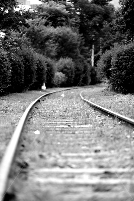 transportation,rail,레일,기찻길,railway,traintrack