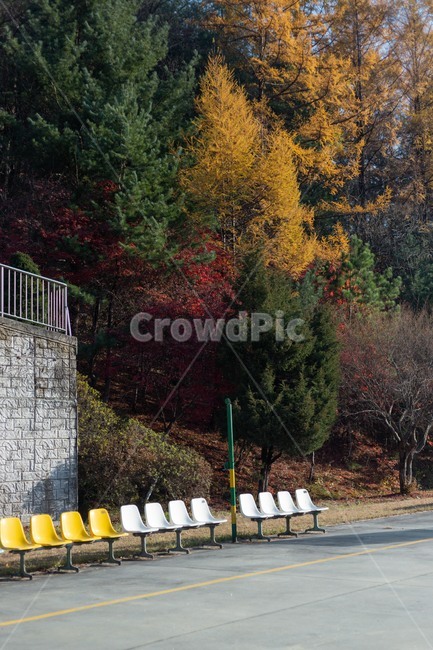 자연,nature,가을,단풍,노랑,잎사귀,가을,계절,fall,autumn,season,자연,풍경,nature,landscape