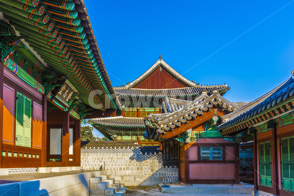 고궁,창덕궁,지붕,문화유산,전통가옥,문화재,기와,담장,한국전통,한국문화,korean traditional,korean culture,랜드마크,landmark,tourist attraction,한국랜드마크,한국관광지,한국명소,korea landmark,korea tourist attraction,건축물,건물외관,exterior,building,structure,architecture,construction