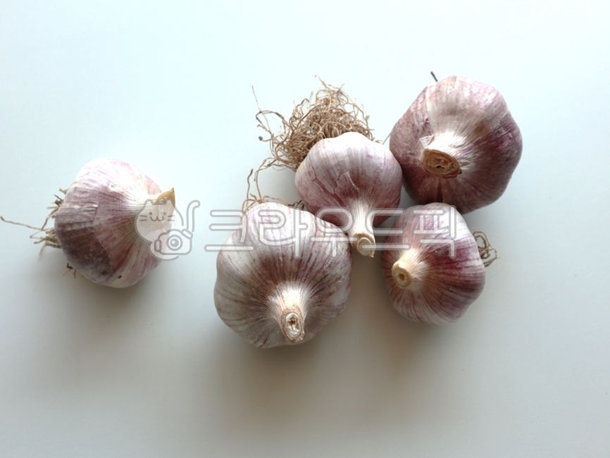 통마늘,마늘,햇마늘,식재료,육쪽마늘,갈릭,누끼,흰색배경,식자재,푸드,음식,양념,식품,한국음식,근접촬영,closeup,농산물,야채,건강식품,채소,garlicremovebackground,food