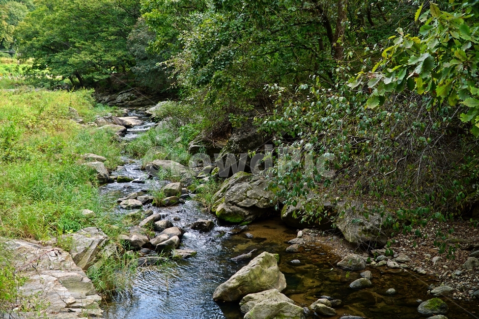 경기도,경기북부,동두천,탑동계곡,계곡,자연,한국자연,한국,korea,nature,valley,water,물,바위,돌,암석,rock,stone,tree,나무,이끼,풀,수풀,경치,scenery,scene,view,하천,시냇물,outdoors,옥외,stream,흐름,creek,작은만,개울,풍경,landscape,자연,풍경,nature,landscape,작은 만