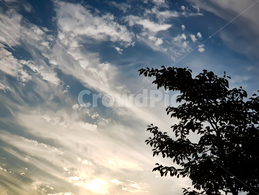 석양,해질녘,하늘,저녁,저녁하늘,감성사진,하늘풍경,landscape,skyscape,eveningsky,sky,sunsetsky,sunset,clouds,나무,tree,nature,자연,outdoors,옥외,flare,플레어,light,빛