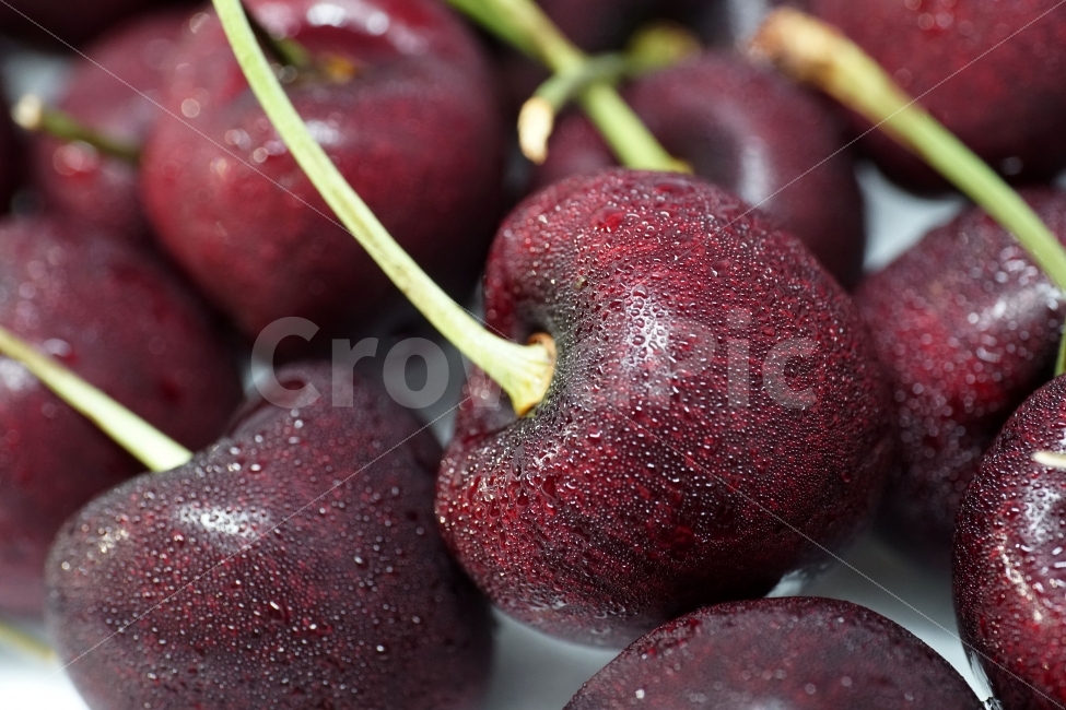 체리,앵두,과일,열매,프루트,후루트,fruit,cherry,음식,사물,물기,물방울,수분,비타민,과실,디저트,desert,food,오브젝트,object,농산물,농작물,식재료,식자재,식품,meal,vegetable,먹거리,먹을거리,먹을거,먹을것,음식,식재료,요리,food,cook,meal,dishes,food reserves,과일,열매,fruit