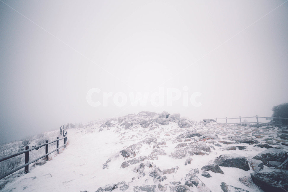 눈,snow,겨울,자연,winter,겨울,계절,winter,season
