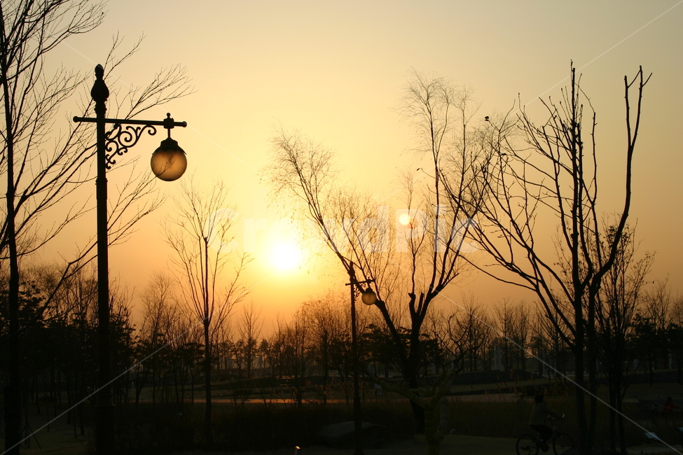 석양,노을,가로등,공원,저녁,가을,하늘,금빛,sunset,sky,sun,sunrise,tree,landscape,silhouette,electricity,nature,power,orange,clouds,evening,cloud,energy,pylon,dusk,red,tower,trees,electric,beautiful,dawn,line,fog,golden,memory,recollection