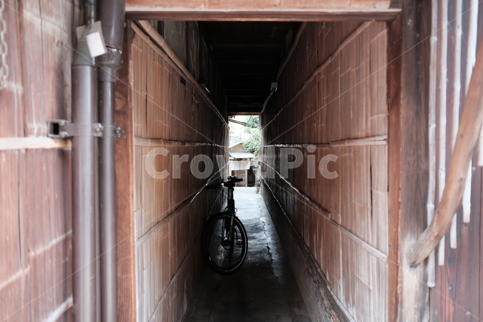 일본,골목,자전거,터널,나무터널,골목길,alley,wheel,바퀴,machine,기계,transportation,교통,bicycle,bike,vehicle,차량